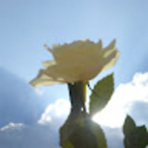 Meet your Posher, Maya skie